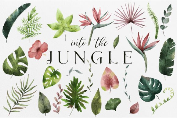 Bring Your Creative Vision to Life with Tropical Plants Watercolor Illustrations