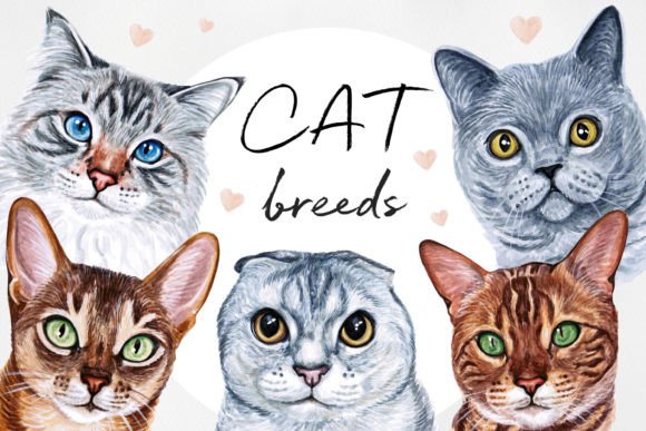 Bringing Feline Charm to Life: Watercolor Cat Illustrations