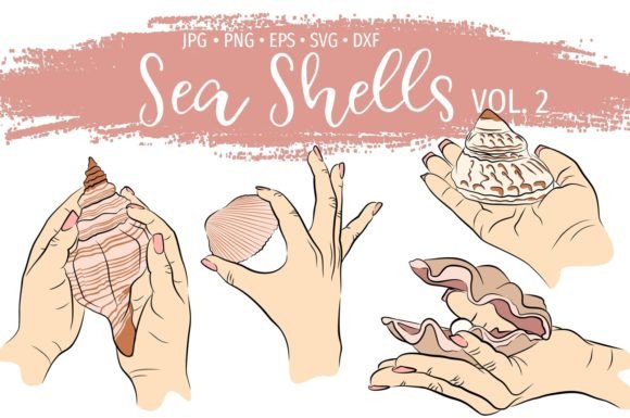 Ocean Shells, Summer Clams Illustrations: Coastal Charm for Your Projects