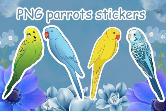 Vibrant Versatility: Using Parrots Illustrations in Modern Design